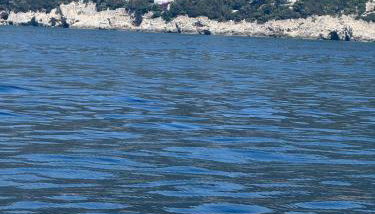 villa shulman - Foto 3