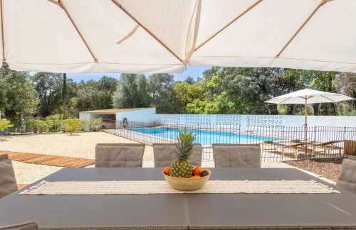 Mas Tinus - Lavanda - Photo 5