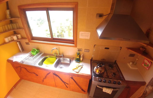 La Rueda del Chucao - Foto 62