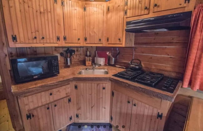 Joy's Kenai River Cabins - Foto 10