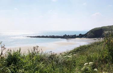 Cosy Beachside Cottage 100m from Challaborough Beach - Foto 38