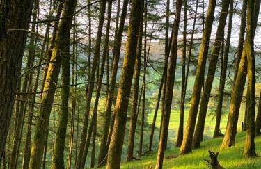 Cae'r Beili - Photo 29