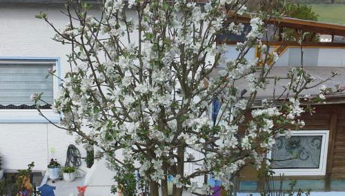 Ferienwohnung galina - Foto 2