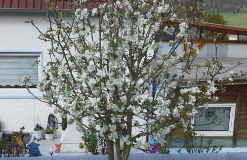 Ferienwohnung galina - Foto 2