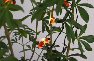 Loc' Maria - Groix Locations - Photo 11