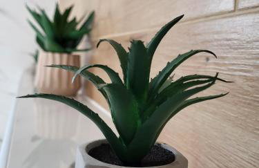 Apartment Dado - Foto 27