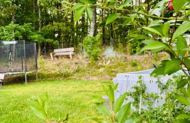 LakeView DomekNaKaszubach - Foto 17