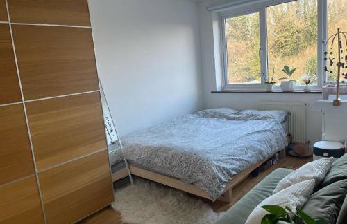 Lea Valley Nature Reserve Bright Home with Private Garden - 40 min to London by Train - Foto 8