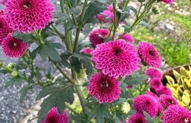 Casa La Oveja Negra, con Piscina - Foto 2