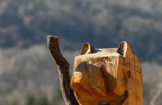 Lodge ou Gîte de caractére avec jaccuzi spa piscine - Foto 79