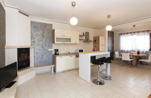 Holiday Home Nedescina 49 - Foto 28