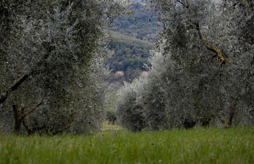 Palazzo Cansacchi - Foto 2