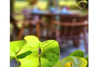 Jardim Secreto - Itaipava - Foto 66