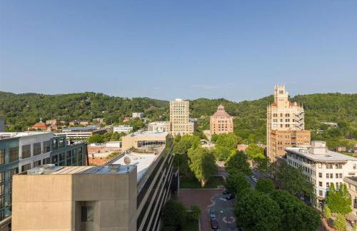 The Views Over Pack Square - Foto 31