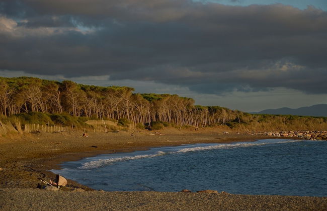 Toscana Biovillage - Cottage con Vasca Idromassaggio solo su Richiesta - Foto 57