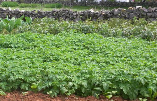 Retiro Da Avo Lídia - Turismo Rural - Foto 40