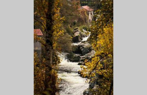 Regouro - an Hidden Gem in Douro Valley - Foto 45