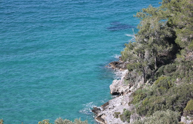 Villa Elit - Foto 19