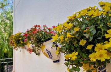 Cortijo Rodeo. Alojamiento Rural - Foto 14