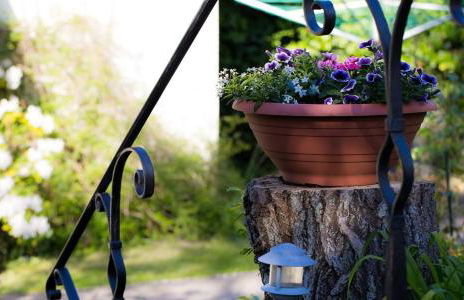 Dünenblick 02 - Foto 22