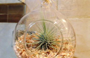 Atico Deluxe San Basilio - Foto 17