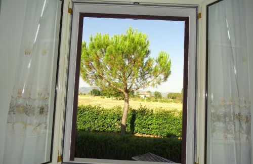 Residence Terra Dei Santi Country House - Foto 124