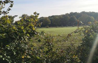 Casa Lira Baumberge - Foto 13