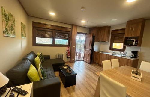 Apartamentos El Prau - Foto 63