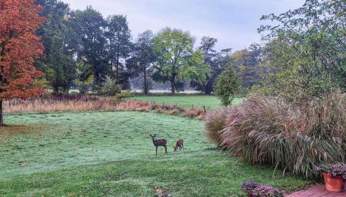 Holiday home with 4 bedrooms - Foto 5, Other