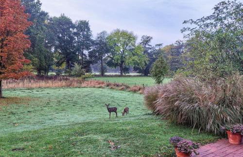 Holiday home with 4 bedrooms - Foto 5