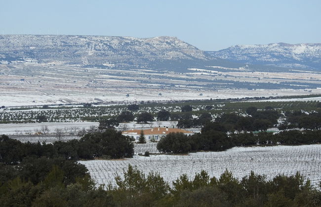 Finca El Romeral - Foto 53