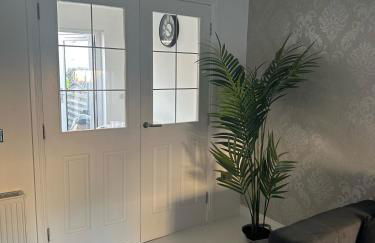 Black Daisy - Foto 50