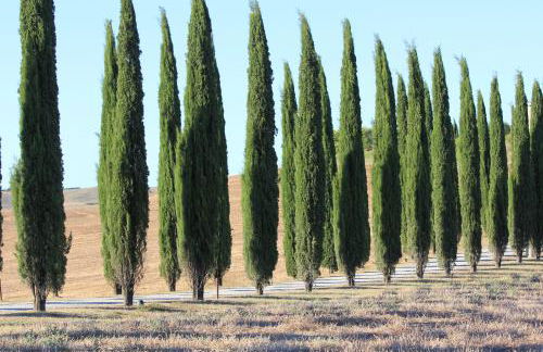 La Terrazza sulla Val d'Orcia - Foto 40