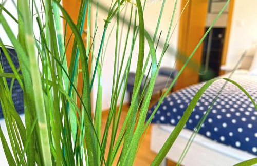 Holiday Home Hanna Toplice Sveti Martin - Foto 9