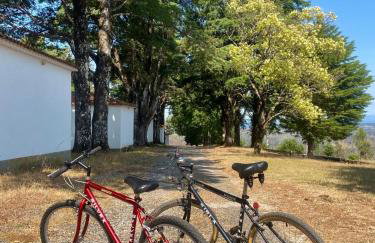 CASA do AÇÔR - Foto 3