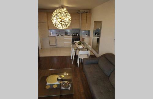 Sunny Penthouse with roof gardens overlooking the Warsaw Palace of Culture - Foto 49