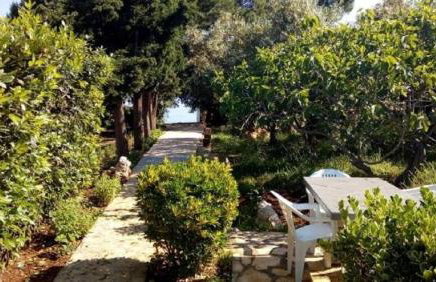 Apartment Brane - Photo 34