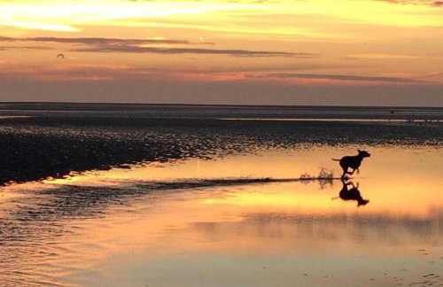 Old Telephone Exchange - Foto 24