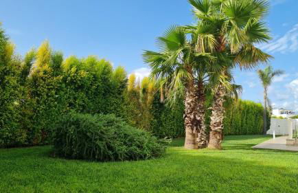 I MESTRI Holiday Homes - Foto 17