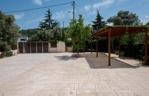 Vicula Mauras - Foto 37