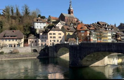 Pure Vista Hank Schwarzwaldblick - Foto 40