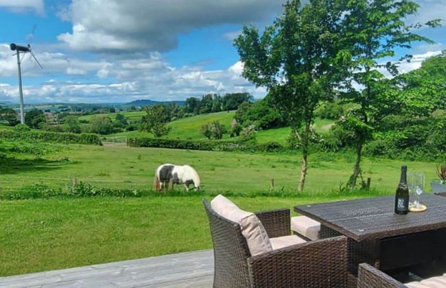 Caplor Glamping and Lodges - Photo 67