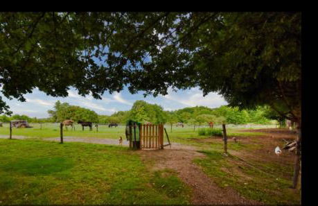 Gite Les Sources - Foto 21