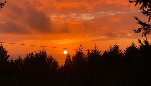 Contemporary House with Ocean View Decks - Photo 1