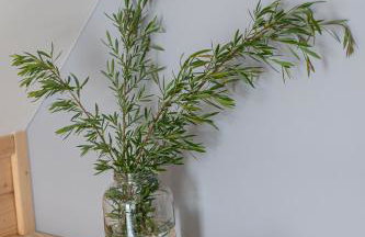 Osada Przystanek Czorsztyn - Photo 76