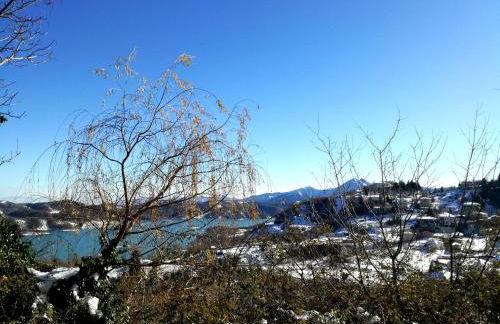 Anthemion - Photo 32