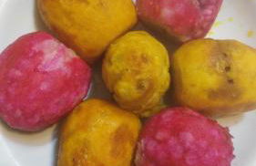 Sa Mendula - Foto 16