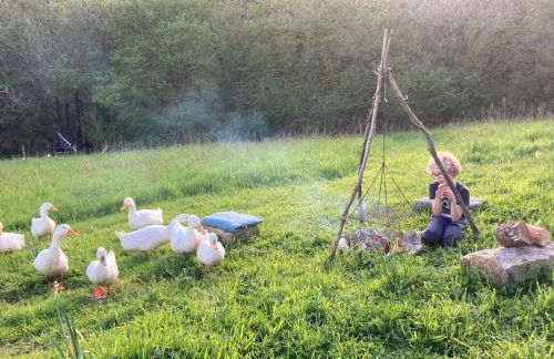 Lower Marsh Farm Glamping - Photo 41