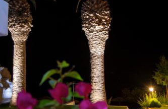 White Pearl - Foto 53