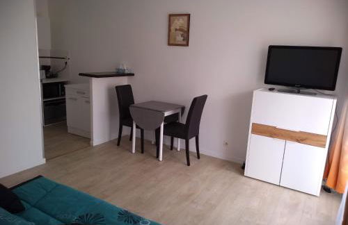 Appart T1bis 31m2 Blagnac proche Tram - Foto 10